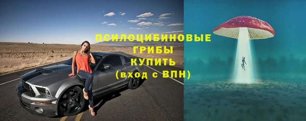мдпв Заволжск
