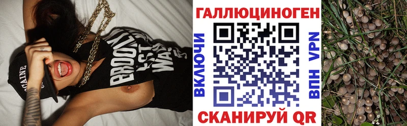Купить где  Дегтярск  Псилоцибиновые грибы MAGIC MUSHROOMS 